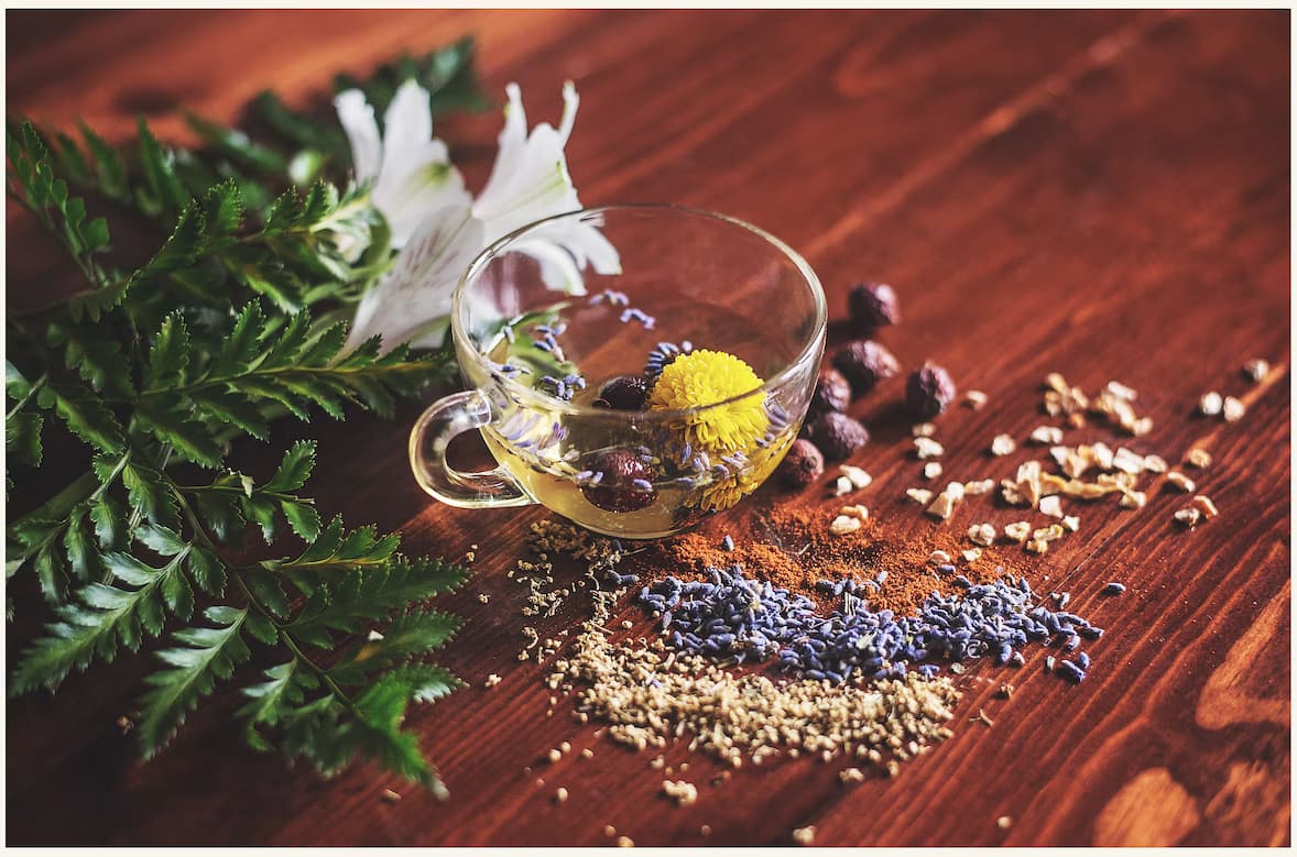 Herbal Seeds